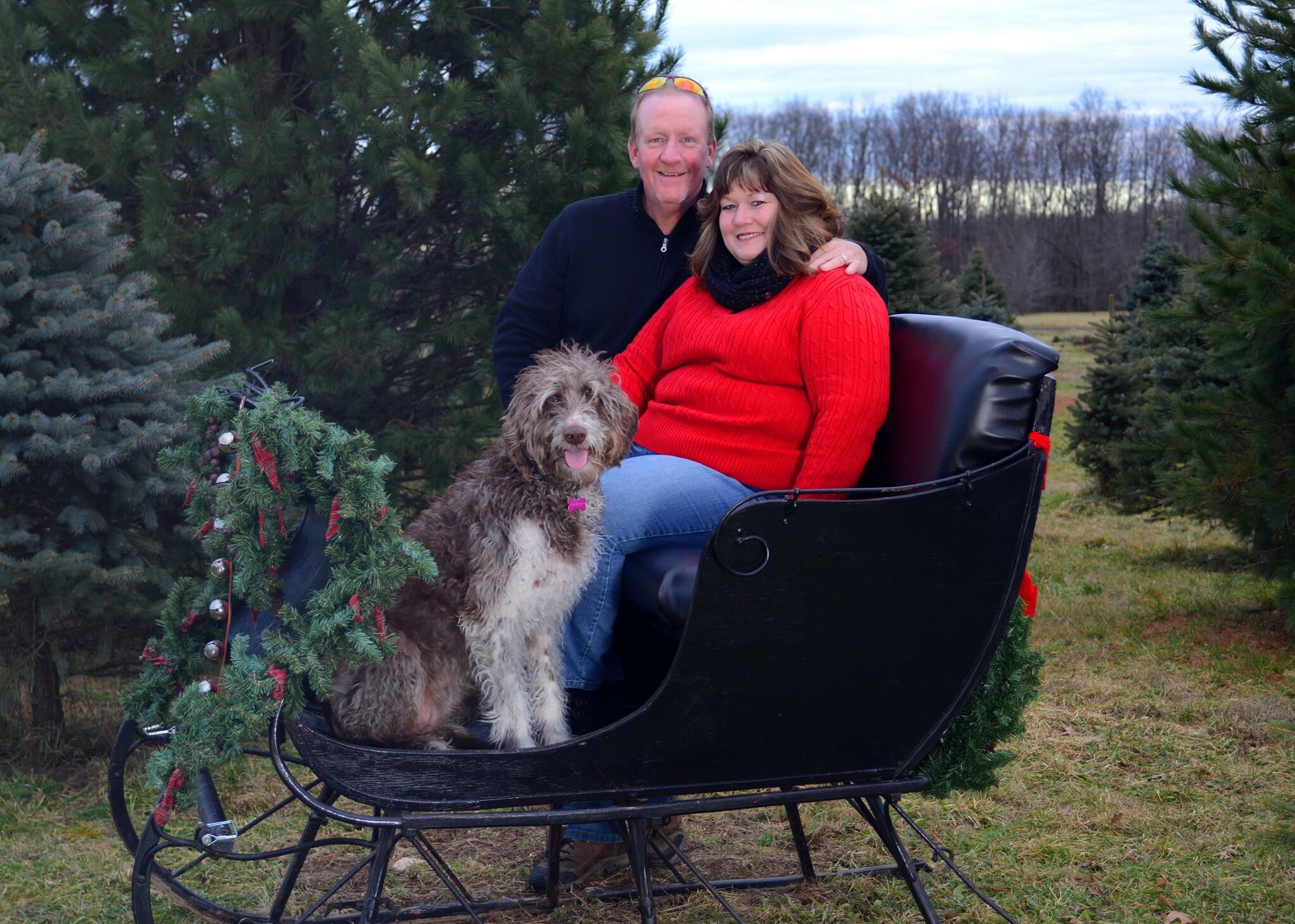 Twelve Tips for Visiting a Christmas Tree Farm - The Cleland Clan